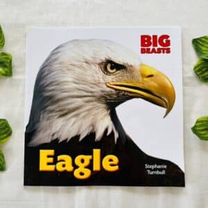 Eagle