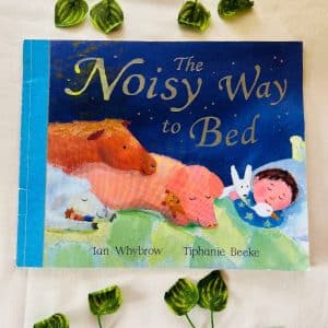 The Noisy Way To Bed: Picture Story Book