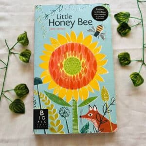 Little Honey Bee: Lift-the-Flap Board Book