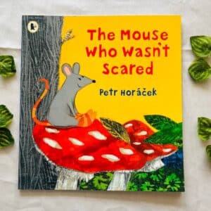The Mouse Who wasn't Scared Picture Story Book