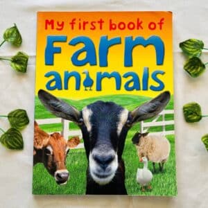 My First Book Of Farm Animals