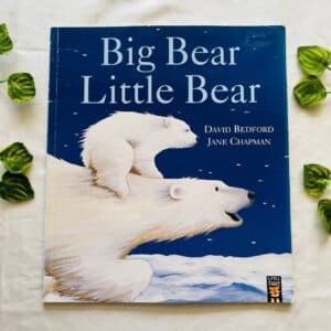 Big Bear Little Bear: Picture Story Book