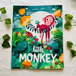 Little Monkey: Picture Story Book