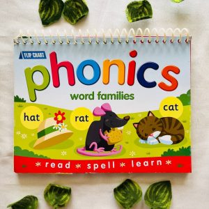 Phonics Word Families