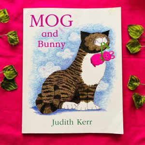 Mog and Bunny: Picture Story Book