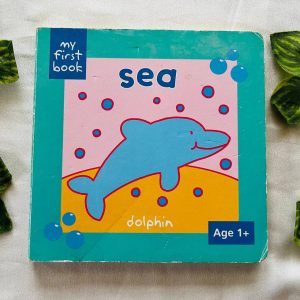 Sea Dolphin: Board Book