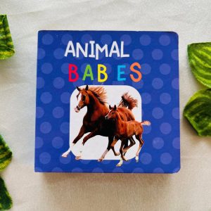 Animal Babies: Board Book