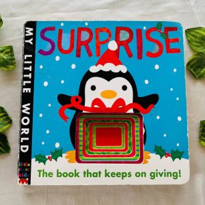 Surprise: Board Book