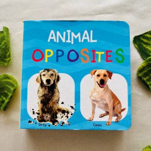 Animal Opposites: Board Book
