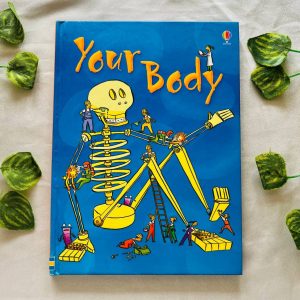 Your Body