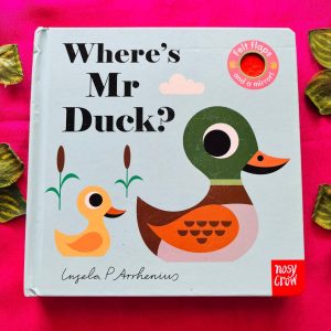 Where's Mr Duck? Board Book With Felt Flaps and Mirror