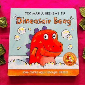 Dineasair Beag: Board Book (Foreign Language)